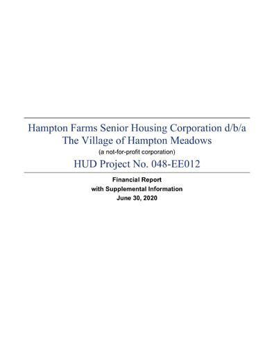 Hampton Meadows Financial Report 2020
